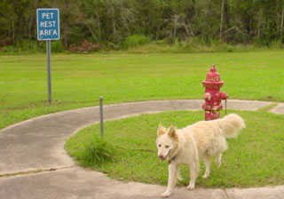 Here we have a real fire hydrant
